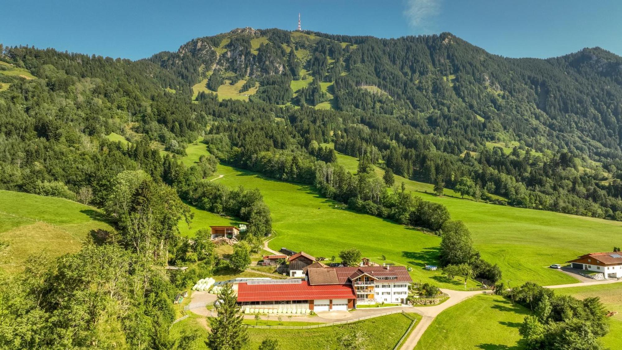 Gsolhof Appartement Rettenberg Buitenkant foto